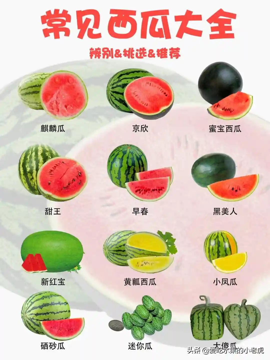 水果的知识大全 之《西瓜大全》