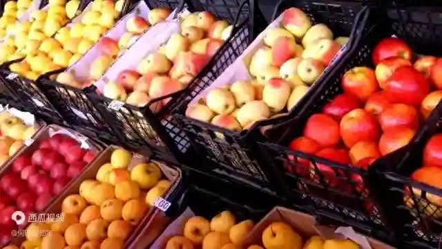 中国水果产量最高的10大省份