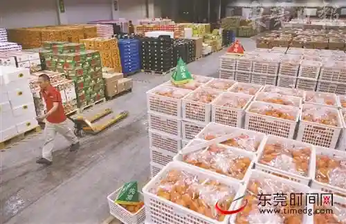 水果全线涨价 端午节后或企稳