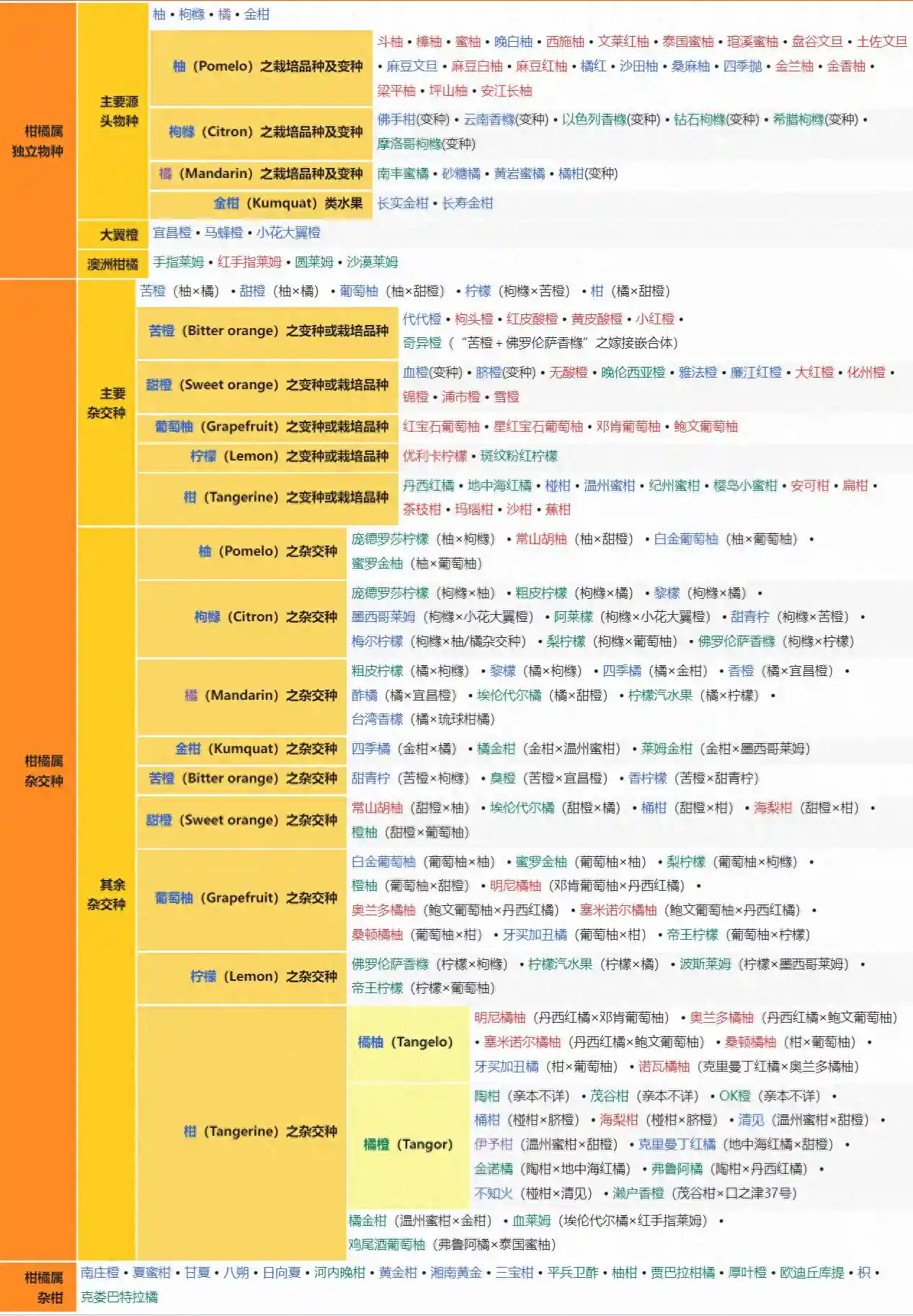 食材-水果篇：柑橘品种及其分类