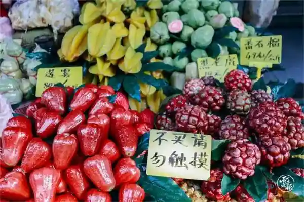 昆明人，你的进口水果即将“加码”