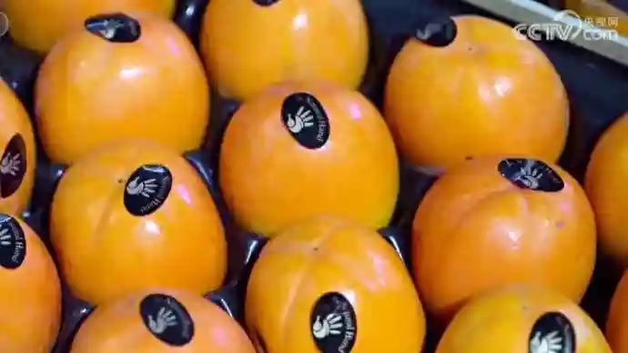 这些进口水果，首次进入国内市场！