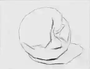 素描单体水果，这样刻画栩栩如生！