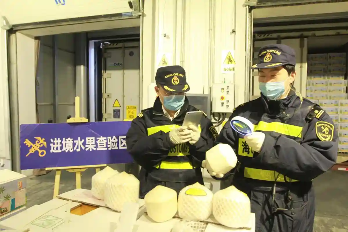 科学分析，助力新鲜水果快速通关