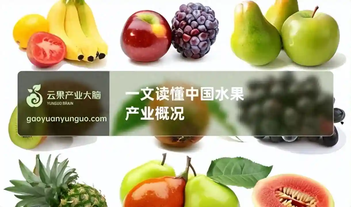 一文读懂中国水果产业分析简报