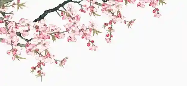 「时令水果」水蜜桃｜三月赏花七月桃