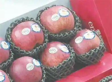 深圳率先获批水果质量分级试点