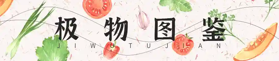 中国最动人的水果，美了中国人8000年