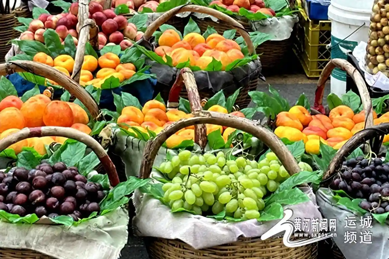 家庭果园指南：五种最适合在家种植的水果