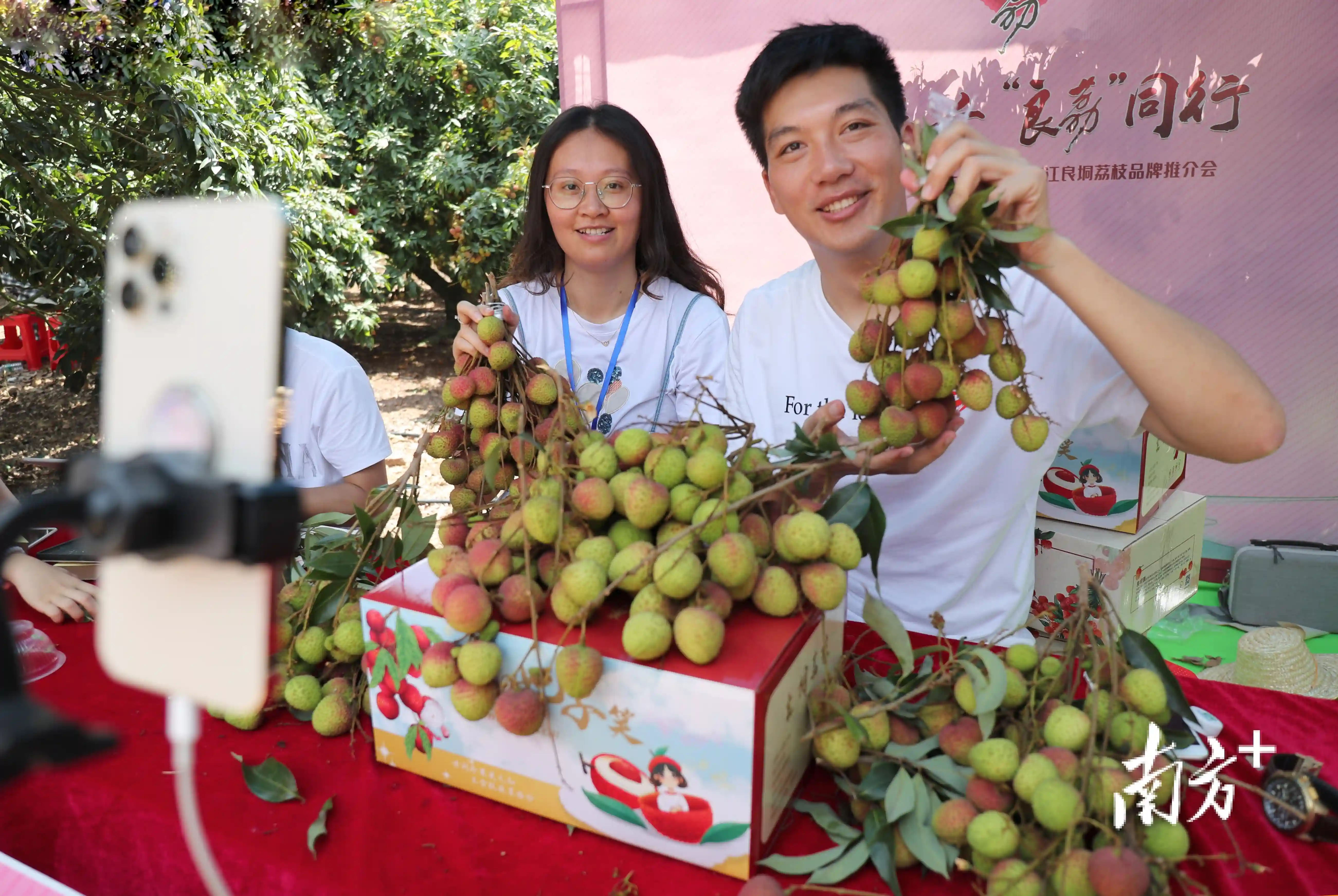 新农人麦丹：创新方式推广家乡水果