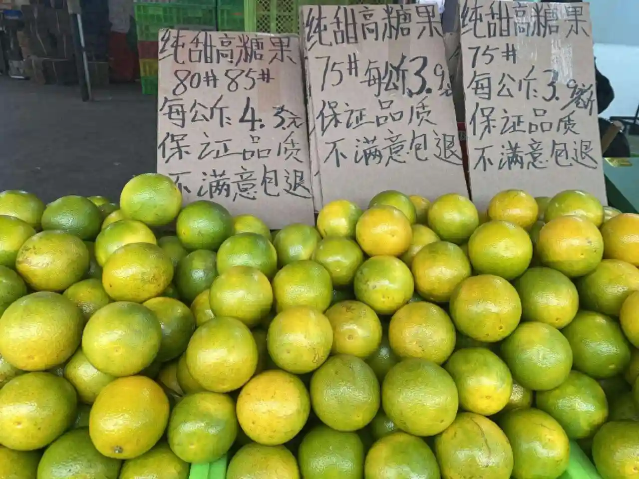 10—13元/公斤！这一水果在昆明大量上市