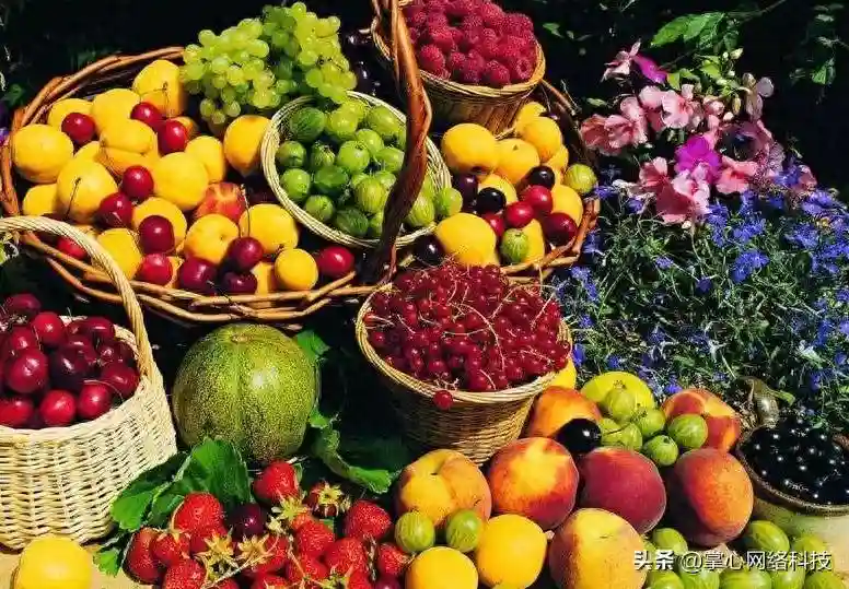 现在开发一款水果app还有什么好处呢？