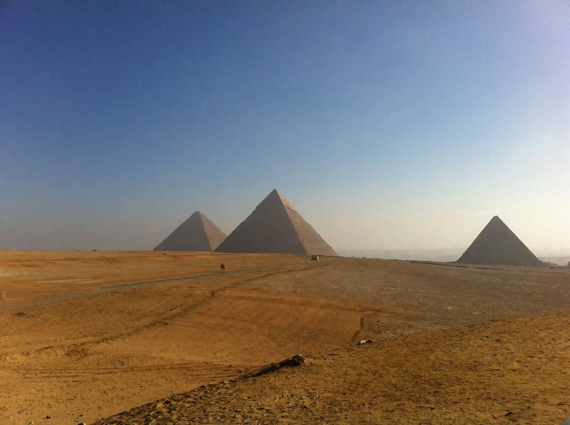 惊呆了，沙漠国家的水果竟然这么便宜！