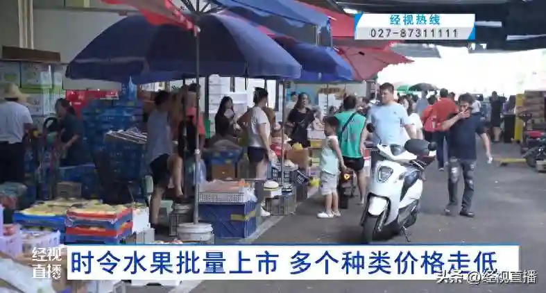 时令水果批量上市 多个种类价格走低