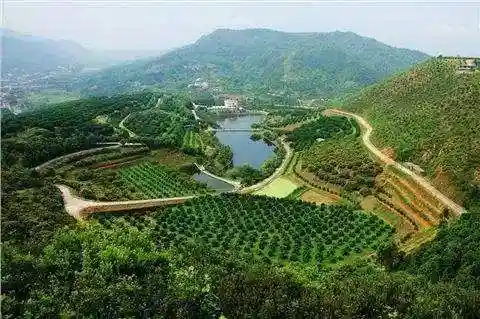 果园水果不愁卖，创新销售方式是关键