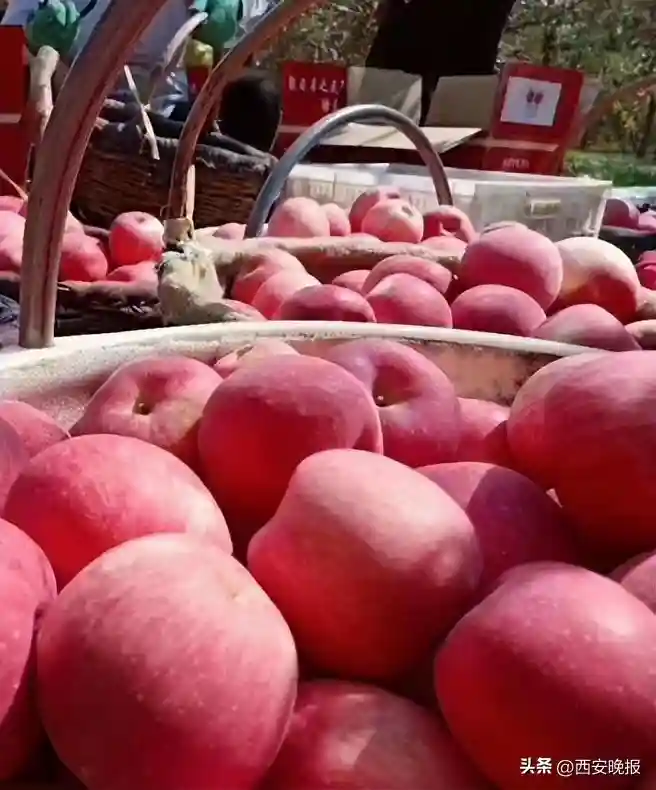 上半年陕西哪些水果受青睐？名单公布