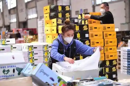 东北冷鲜港水果交易市场正式挂牌营业