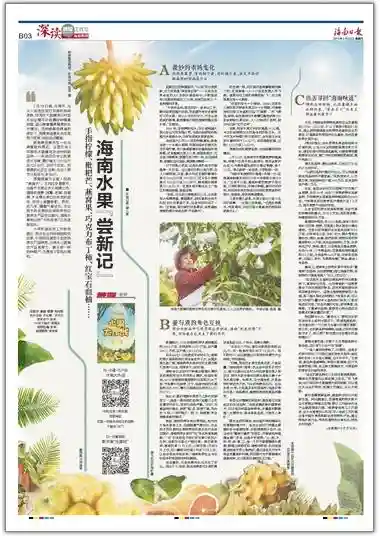 海南水果“尝新记”：这里一定有你没见过的