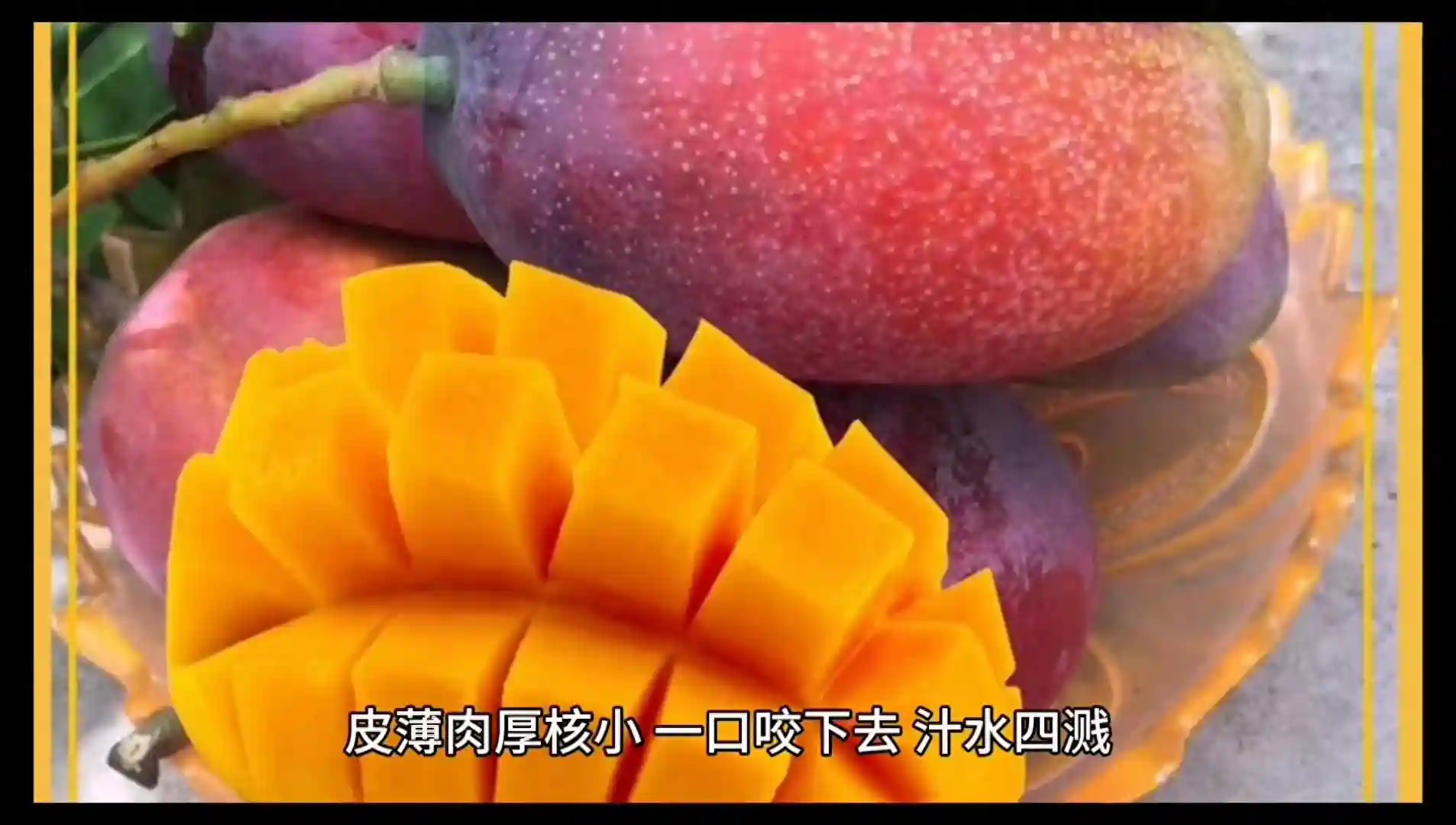 说说全国各地的特色水果，你喜欢哪一个？