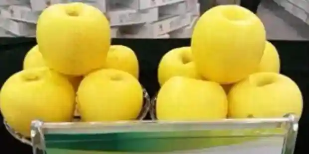 水果富士，苹果至尊，“维纳斯”不出，谁与争锋？