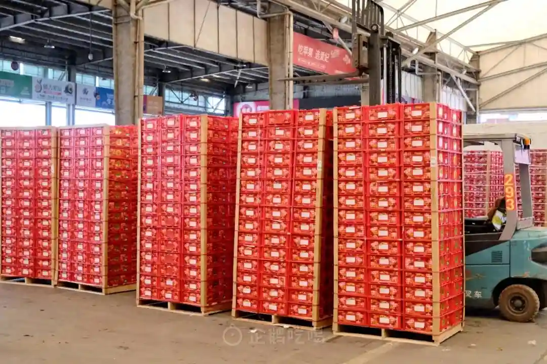 逛了全国最大水果批发市场，门道有点深……