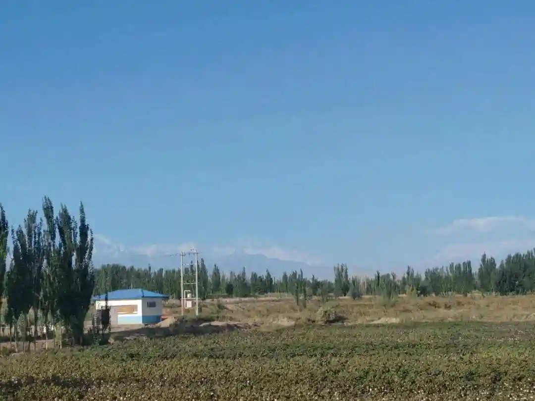 水果“出疆记”：一场跨越5300公里的甜蜜邂逅