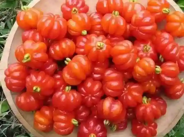 下面这些千奇百怪的水果，你见过几种呢？