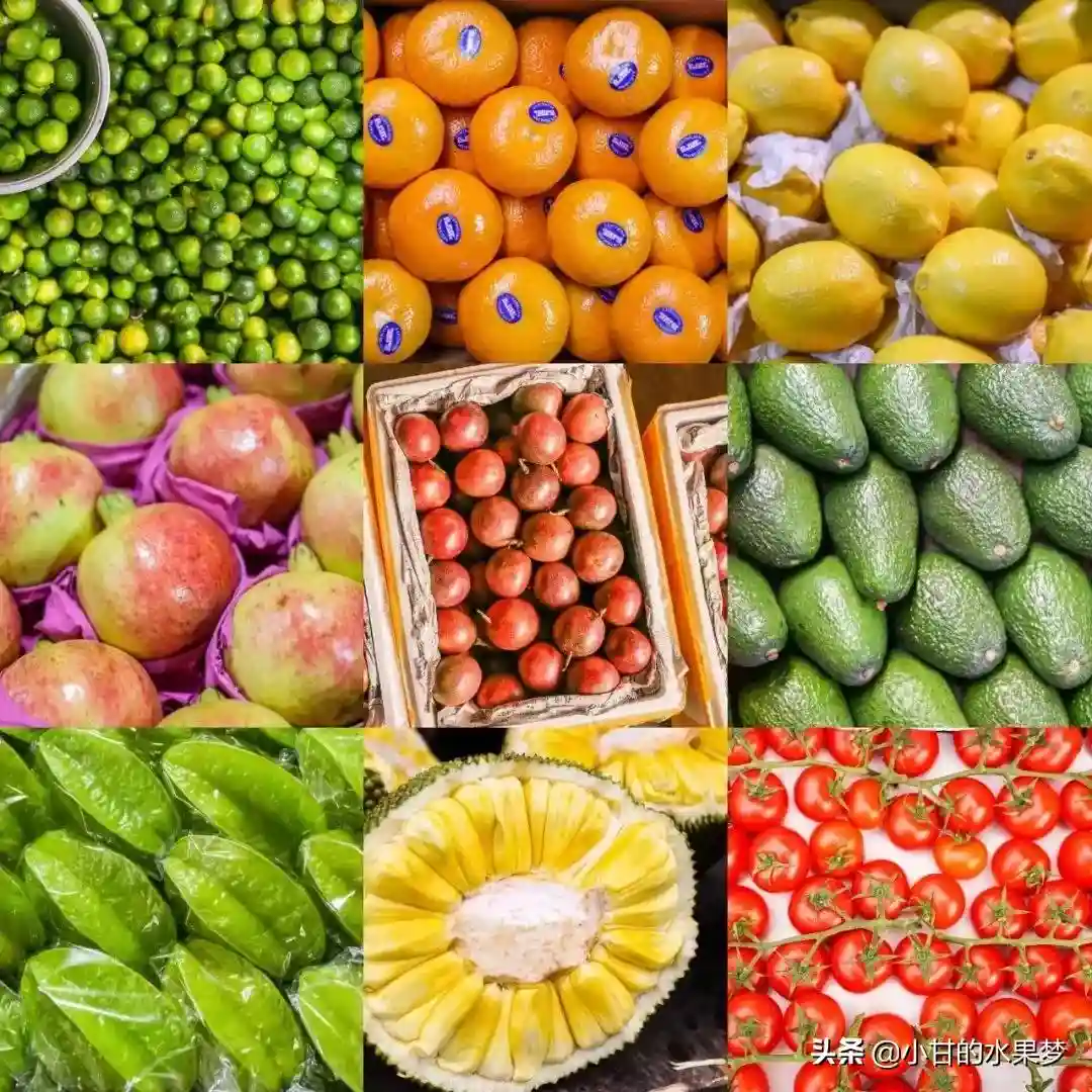 广州水果批发市场在哪里，批发市场大全