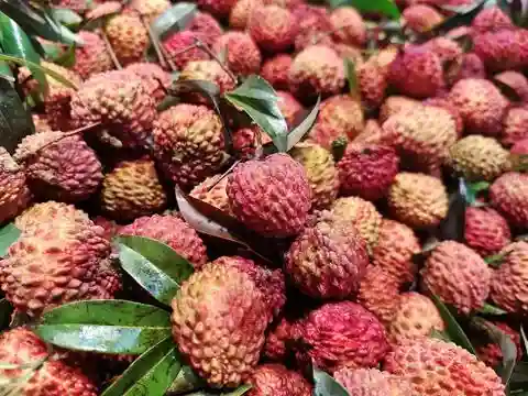 荔枝、苹果、梨……纷纷降价，水果价格为何走低？