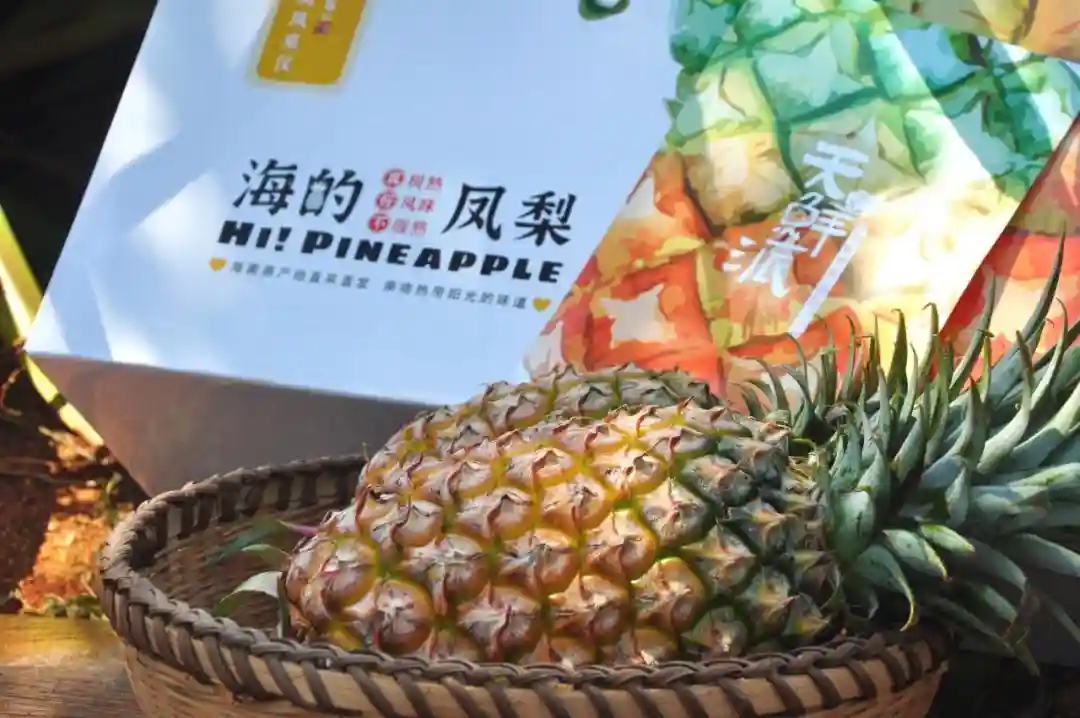 时令水果 | 海南金煌芒、金钻凤梨，甜蜜多汁