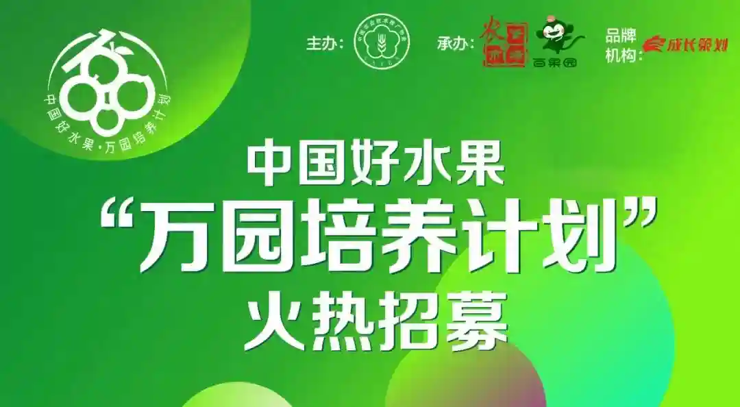 中国好水果推荐｜湖北丰满园果业：秉承绿色种植理念，致力于打造标准化生态水果基地！（万园计划系列六）
