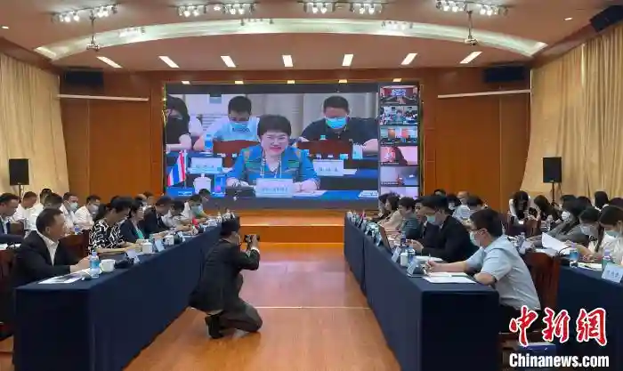 中泰借西部陆海新通道合力开拓水果市场