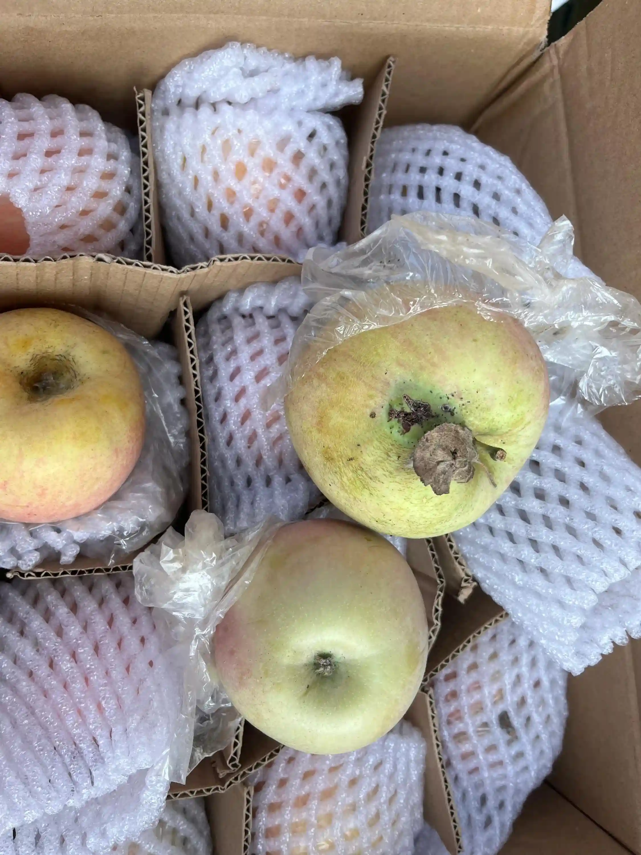 网购水果——甜蜜背后隐藏的风险与经验分享