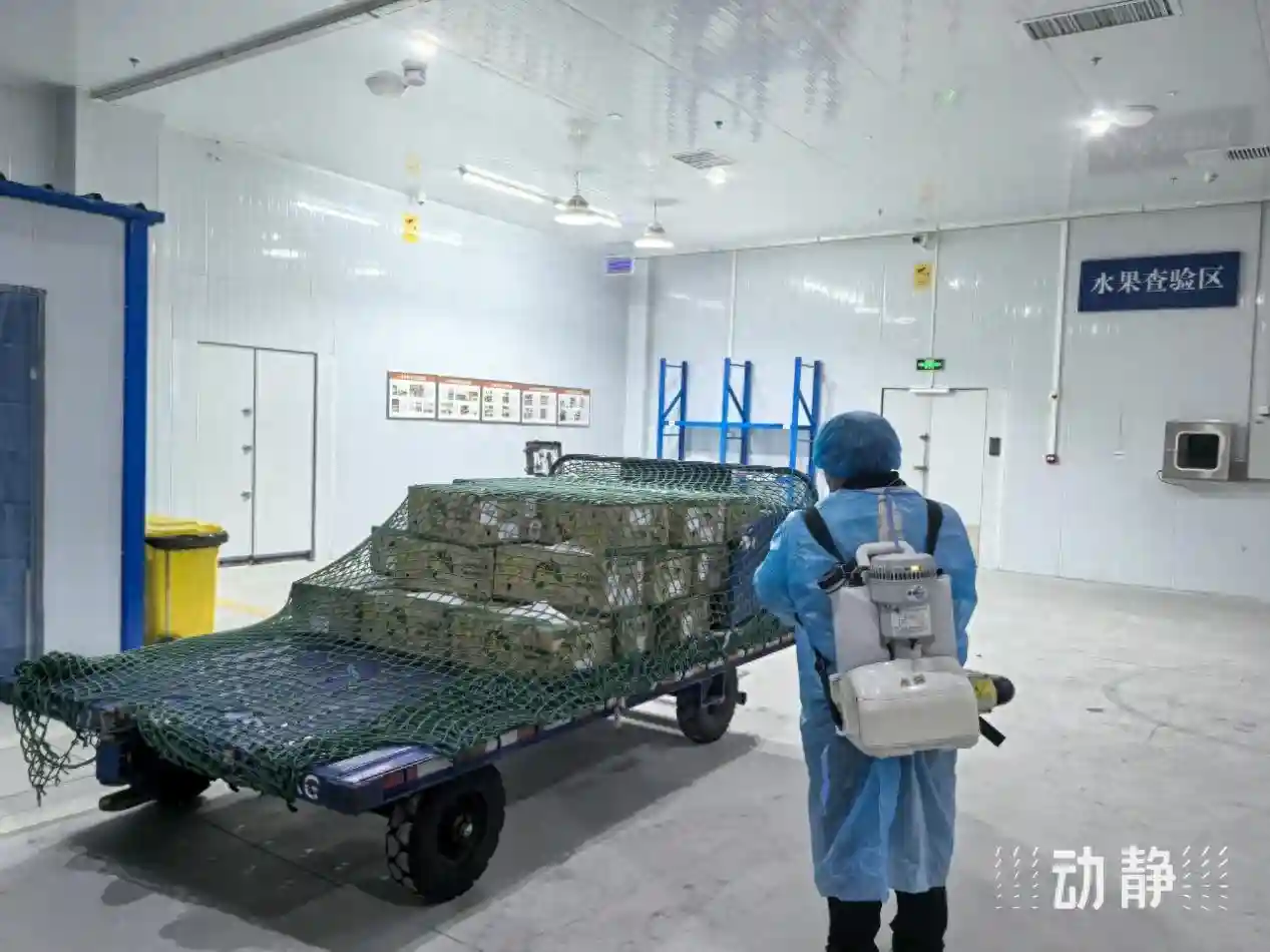 贵阳机场国际货运中心迎来首批入境水果