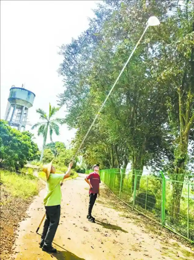 从“奢侈品”到“大众果”，水果见证中国经济成果