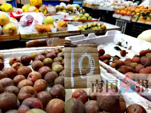 水果贵得网友“想种果树” 两大原因致其涨价