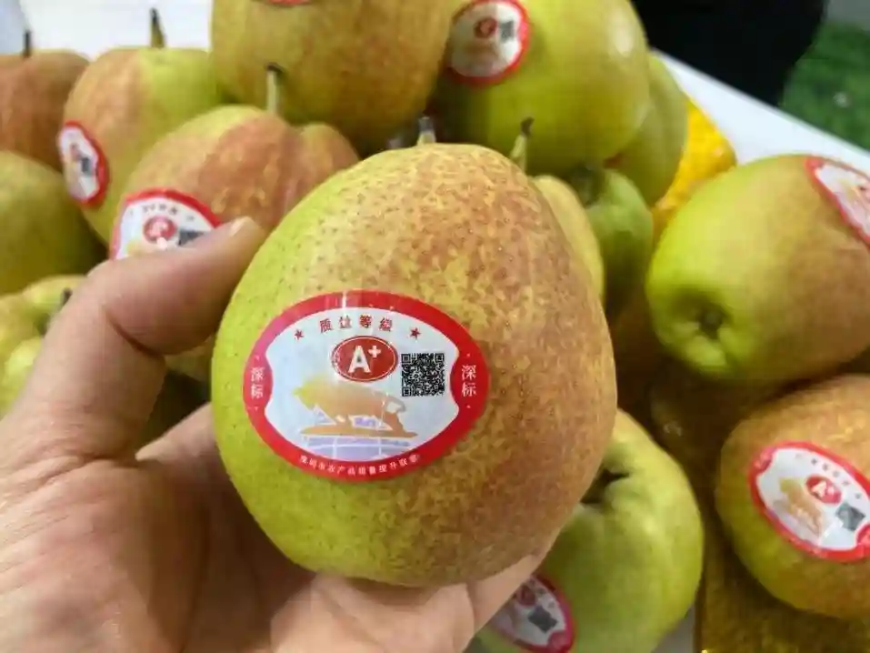 圳品集团助力深圳率先试点水果质量分级