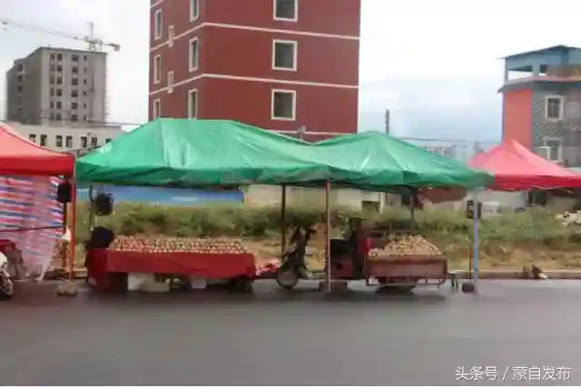红河大道、北京路上卖水果的那些摊，消失了～