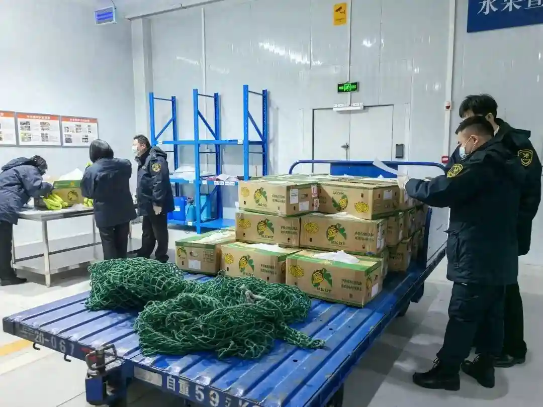 贵阳机场国际货运中心迎来首批进境水果