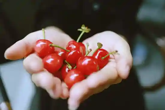 顺丰推水果寄递方案 五方面升级传统冷运