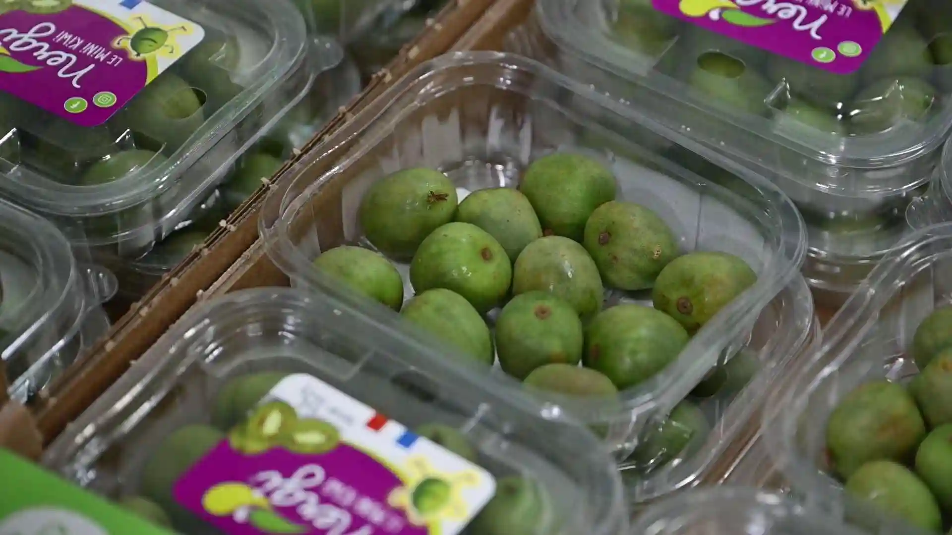 这种水果首次进入中国，将亮相第七届进博会