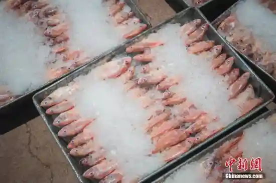 酒类海鲜肉类水果排名2017年春节网购前三位