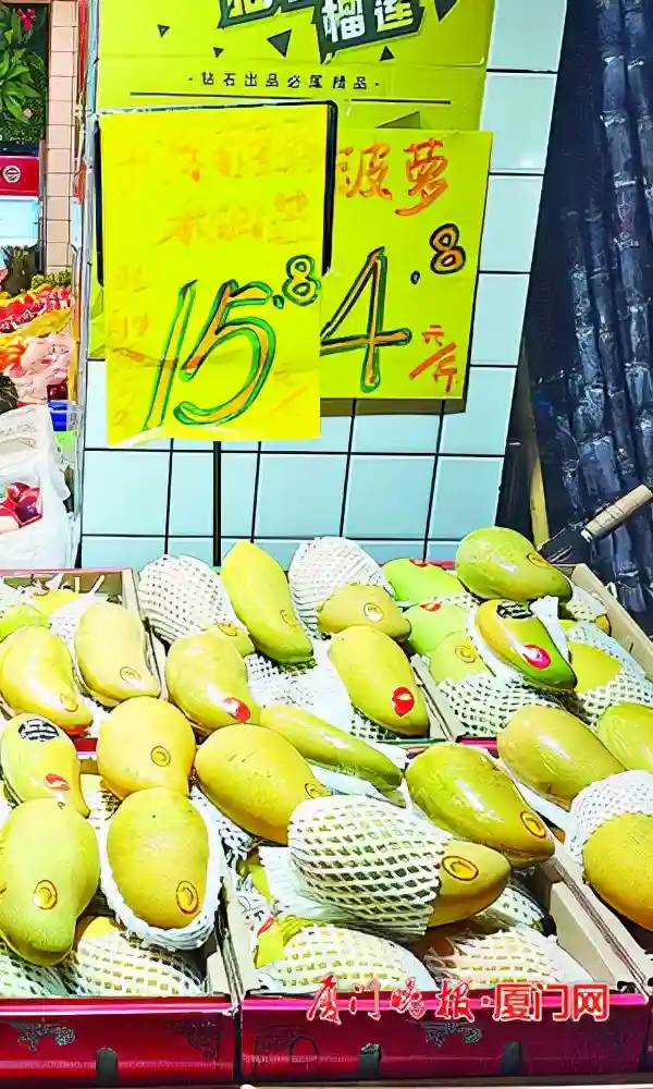 水果市场“芒”起来！多个品种芒果纷纷登“鹭”亮相→