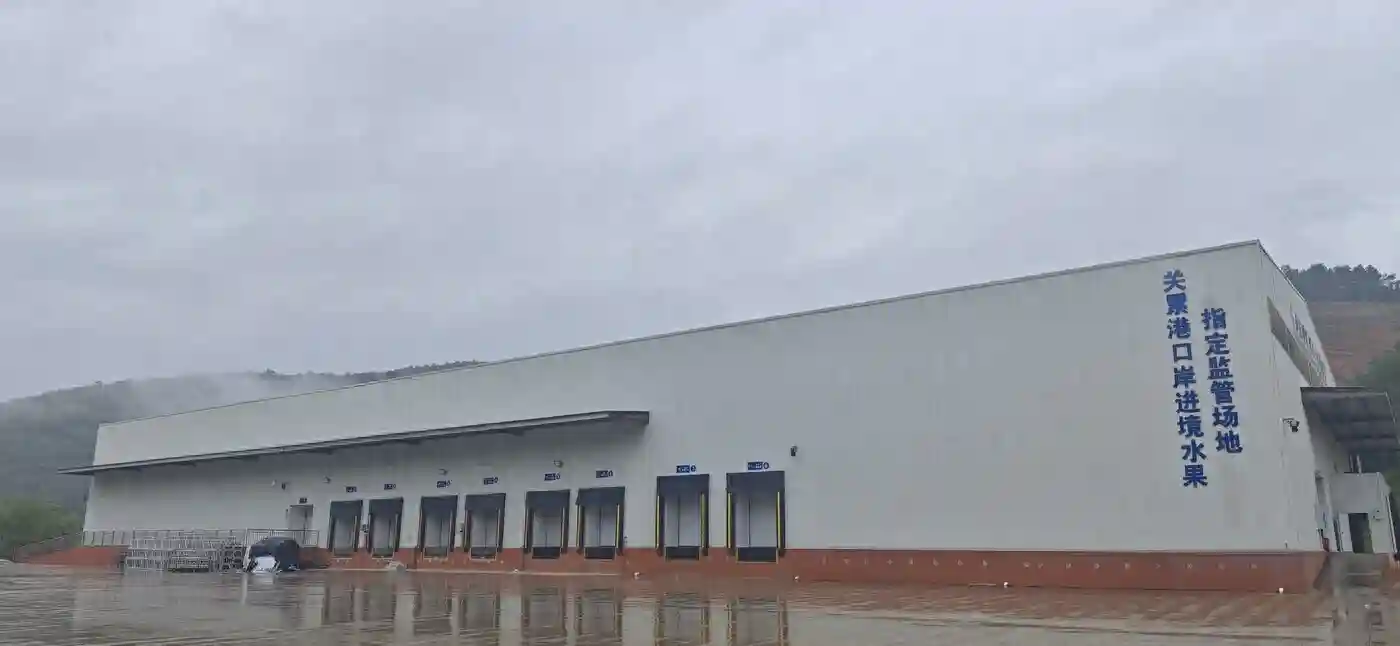 关累港口岸进境水果指定监管场地通过验收