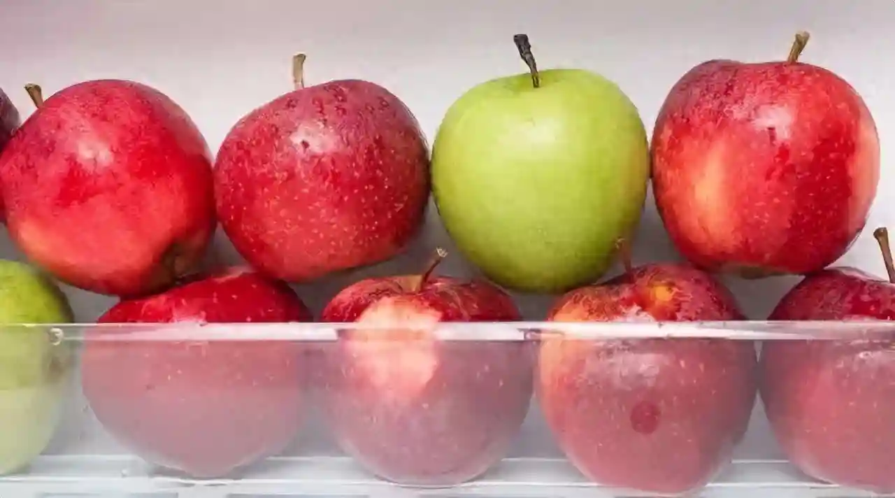 夏天，看看名家笔下的热带水果，果然果香诱人！