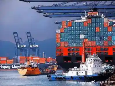 深圳上半年海运出口水果21.3万吨，居全国首位