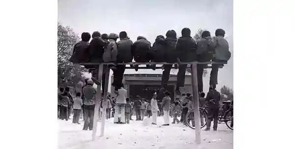 人文饮馔｜琪榴？确定这是包子而不是一种水果？！