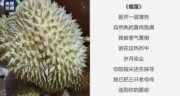 “眼前是果香 心中是远方”水果店老板的诗火了