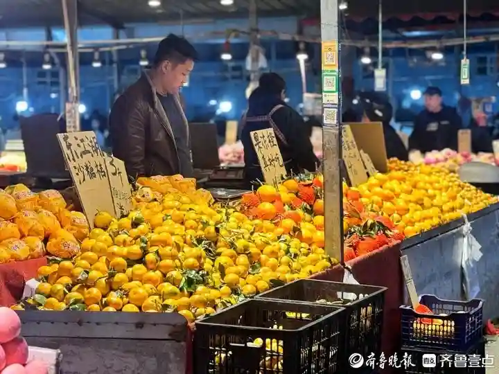 济南水果市场柑橘类占C位，品种全价格亲民