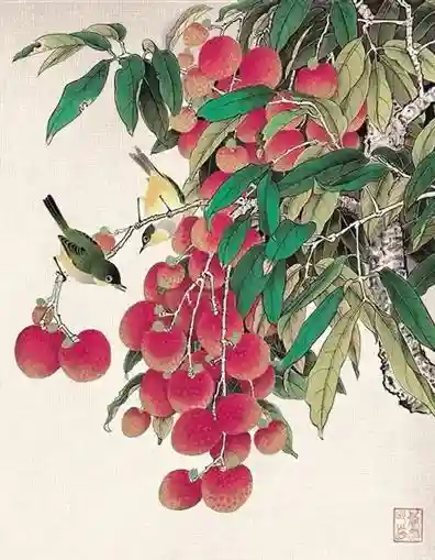 看了这些“带货文案”，谁不想来海南炫一口水果→